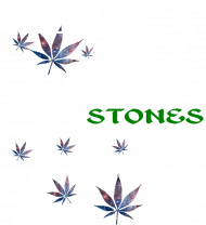 moon rocks bag