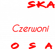 Koszulka Męska kibica Reprezentacji Polski - Polska Biało - Czerwoni