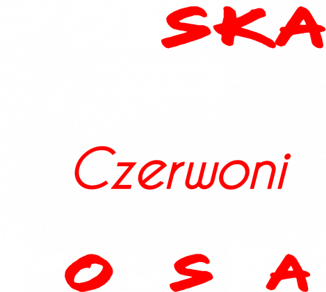 Koszulka Męska kibica Reprezentacji Polski - Polska Biało - Czerwoni