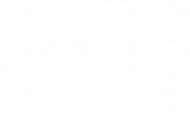 Koszulka ZBS damska