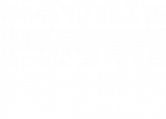 Koszulka ZBS damska