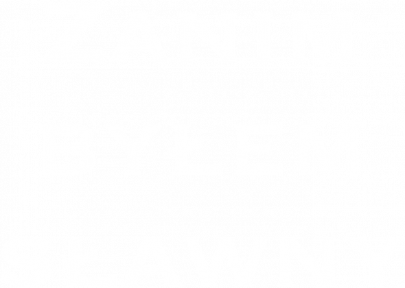 Koszulka ZBS