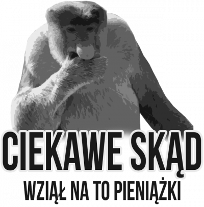 "Pieniążki" biało czarna koszulka
