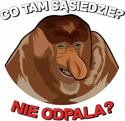 Co tam sąsiedzie? Nie odpala? - bluza damska