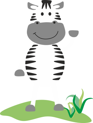 Body Afryka Zebra