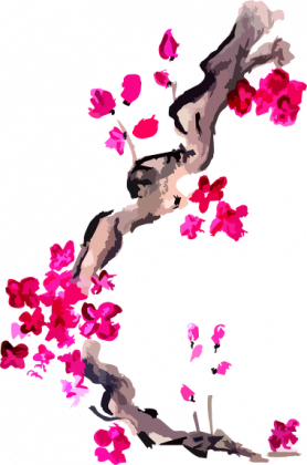 Kubek Kwiaty Wiśni