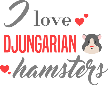 i love djungarian hamsters