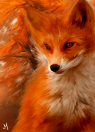 FOX/LIS