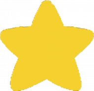 Męska Stevenowa koszulka