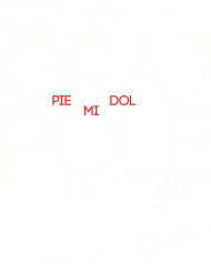 Oraj pole- CZARNY BLUZA