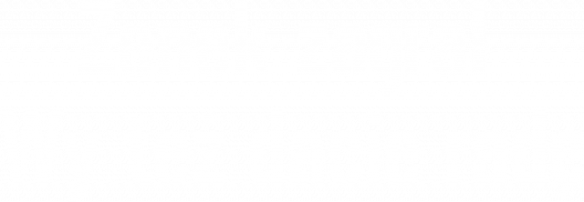 Zenek