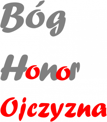 Koszulka Bóg Honor Ojczyzna