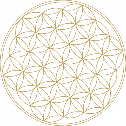 Chakra/ Kwiat życia Bluza
