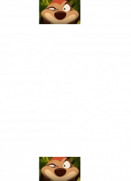 Koszulka Timon Style