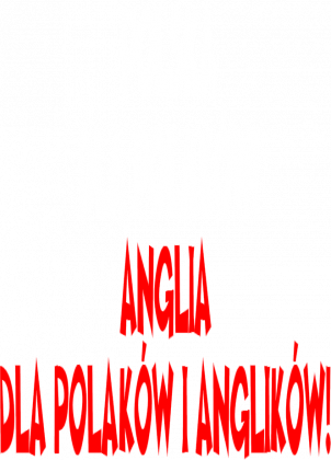 Bluza "Polska&Anglia"
