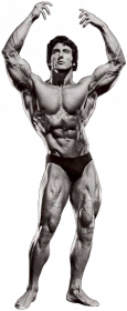 Frank Zane Kubek