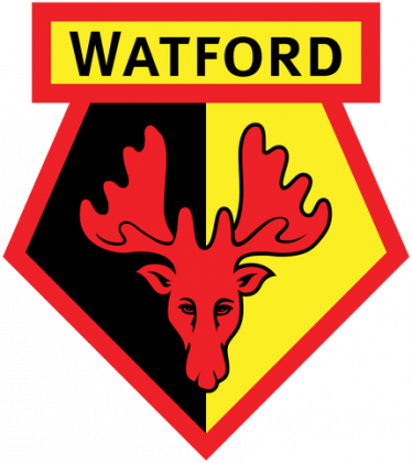 Kubek Watford