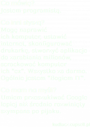 Programista