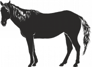Konik