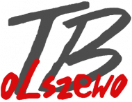 STANDARD LOGO
