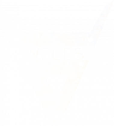 Weles steel t-shirt men