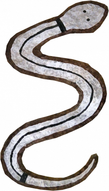 Tableland Snake