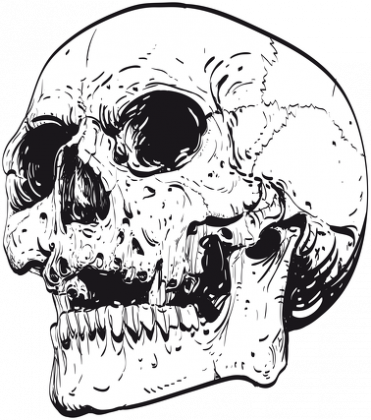 Koszulka męska Skull