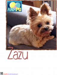 AniaPG Favorite Pets Zazu 22 - koszulka męska