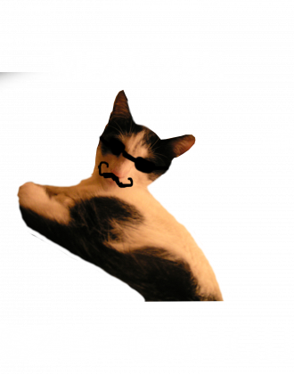 Mruczek Szef Gangu (T-shirt)