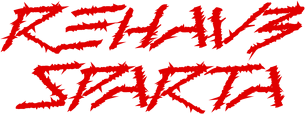 BLUZA MĘSKA V0045-2