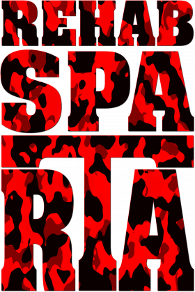 T-SHIRT MĘSKI V0046-1