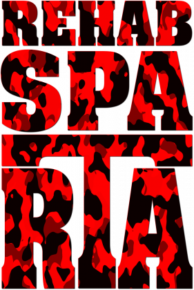 BLUZA MĘSKA V0046-2
