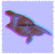 Turtleeeee-shirt
