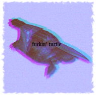 turtleee hoodie
