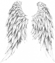 Bluza small angel wings