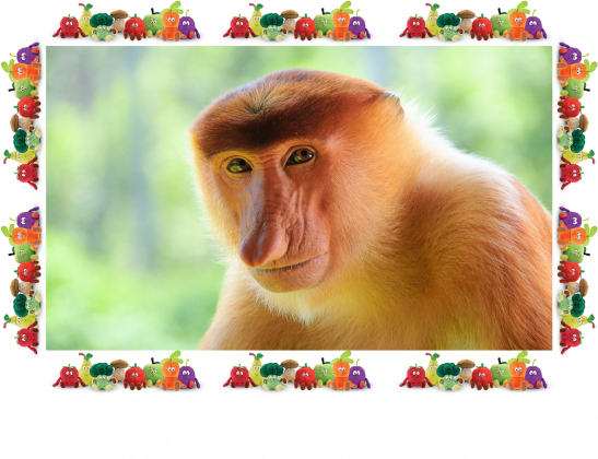 mam horom curke