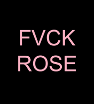 classic rose hoodie DAMSKIE