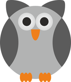 Koszulka Owl Wear