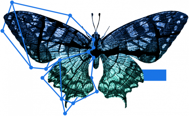 Construct Koszulka Bluzka damska Zwierzęta Motyl Blue