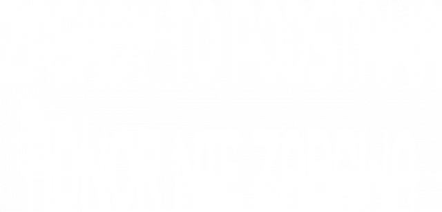 Koszulka - Zasady to podstawa