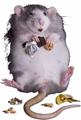 Under Blast - Szczurek