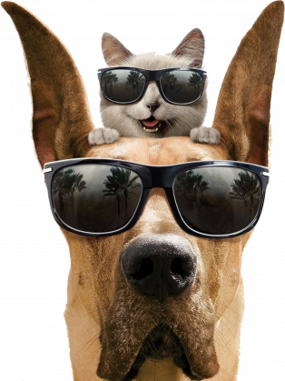 Under Blast - Przyjaciele