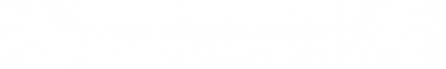 SUZUKI Tshirt