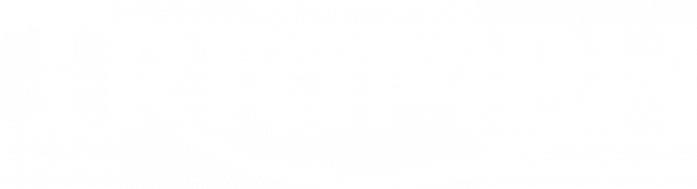 Triumph Tshirt