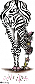 CMstrips, zebra