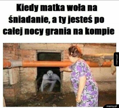 kebek meme kit#2