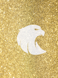Bluza - Eagle Gold