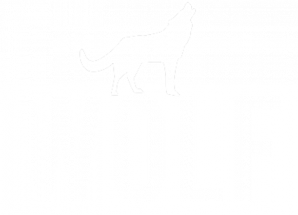 Bluzka Wolf Damska