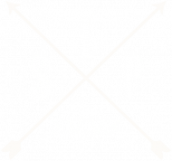 Set The Point - koszulka logo STP