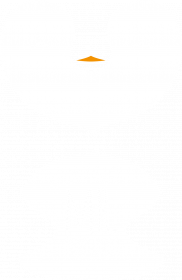 Bluza - Mr Penguin